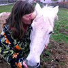 Journey With Horses